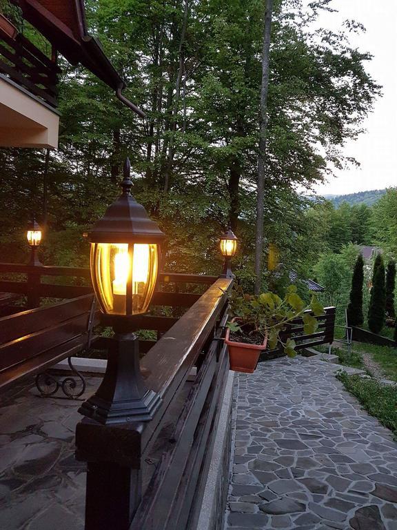 Vila Dani Sinaia Bagian luar foto